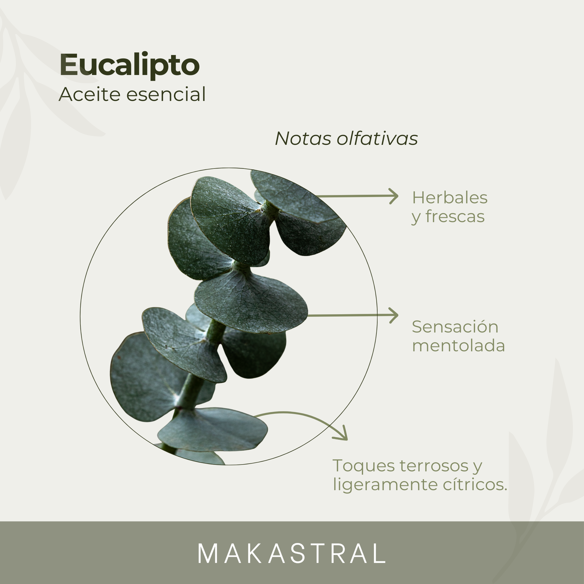 BRUMA ESENCIAL - PURIFICADOR